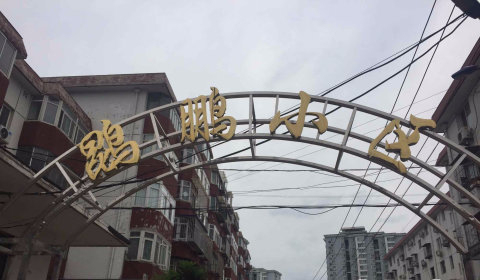 实景图