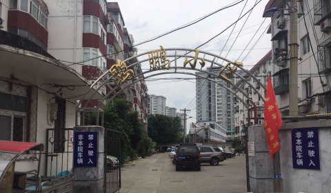 实景图