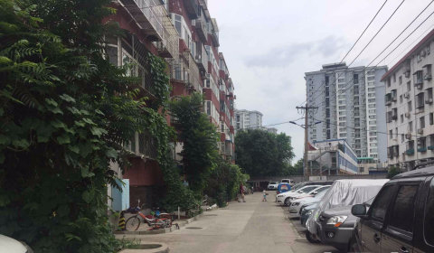 实景图
