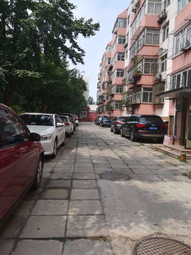 实景图