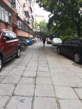 实景图