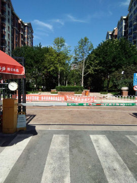 实景图