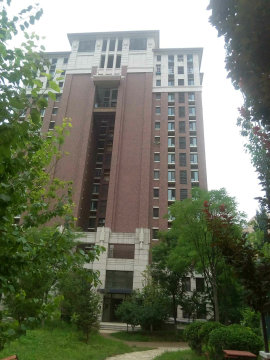 实景图
