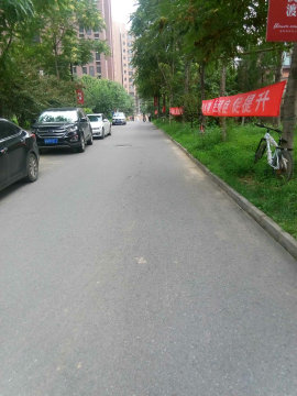 实景图
