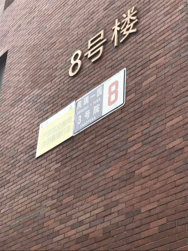 实景图