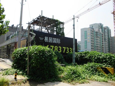 实景图