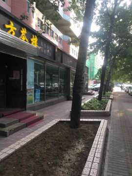实景图