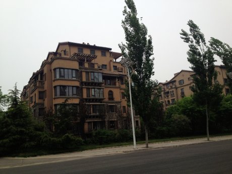 实景图