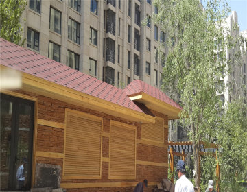 实景图