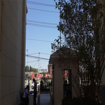实景图