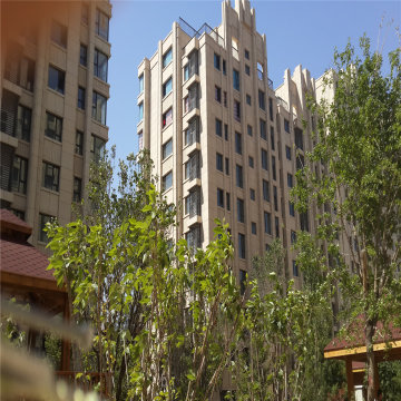 实景图