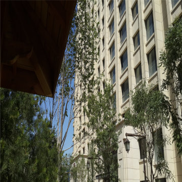 实景图