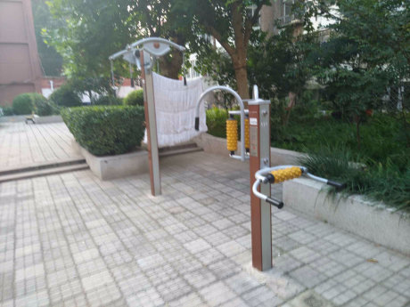 实景图