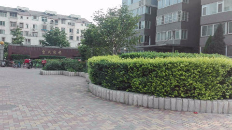实景图