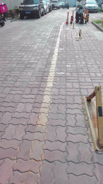 实景图