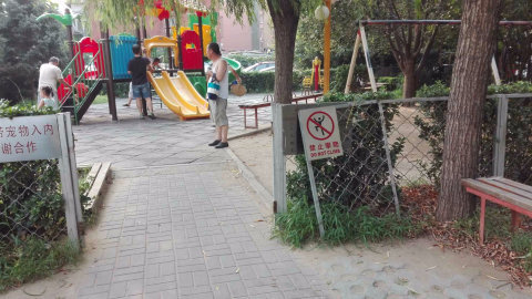 实景图