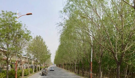 实景图