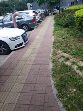 实景图