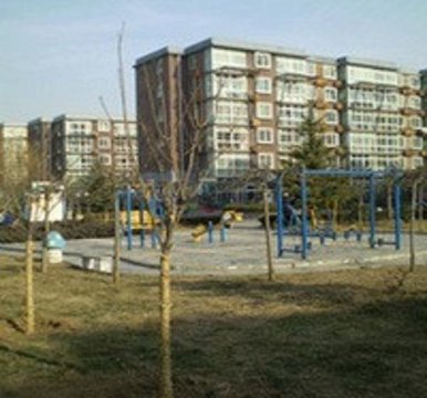 柏林在线