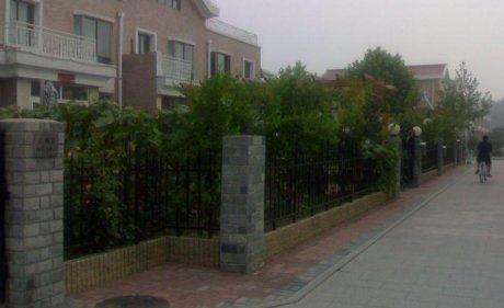 实景图