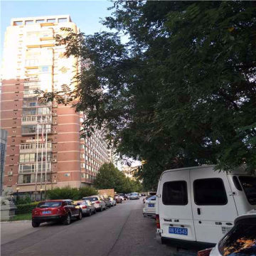实景图