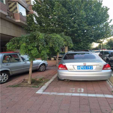 实景图