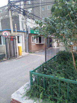 实景图