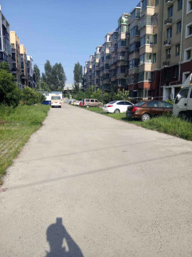 实景图