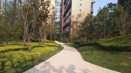 实景图