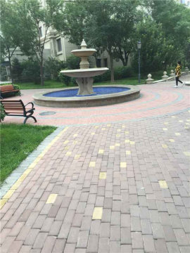 实景图