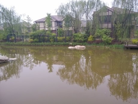 实景图