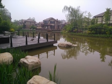实景图