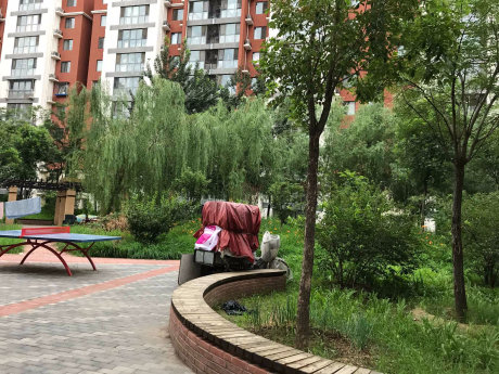 实景图