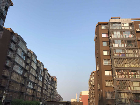 实景图