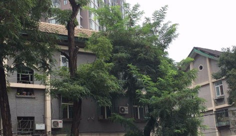 实景图