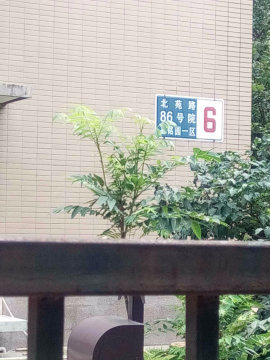 实景图