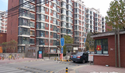 实景图
