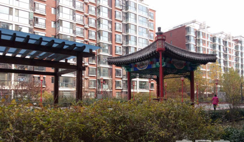 实景图