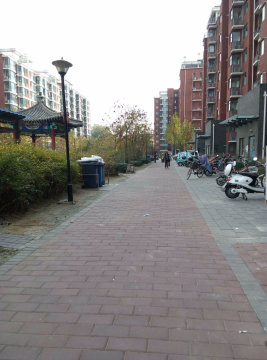 实景图
