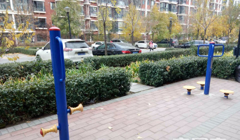 实景图
