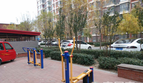 实景图