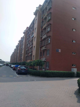 实景图