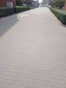 实景图