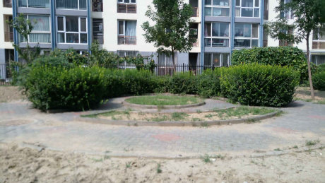 实景图