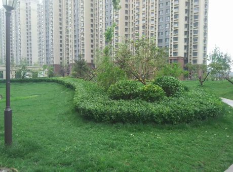 实景图