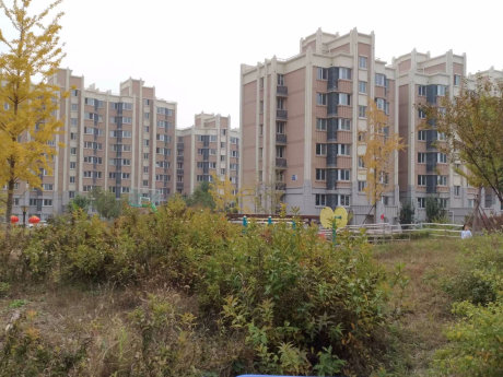 实景图