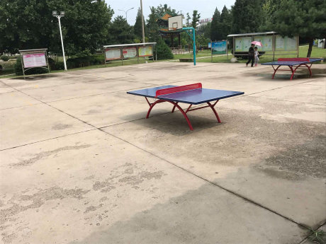 实景图