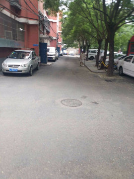实景图