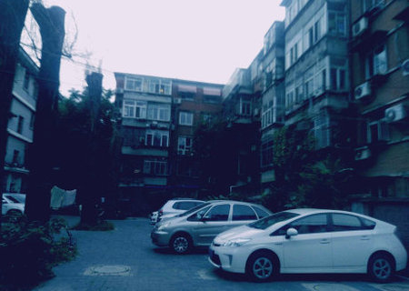 实景图