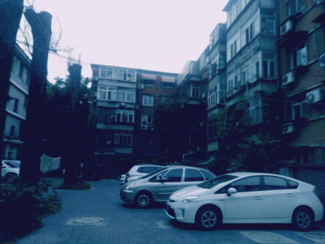 实景图